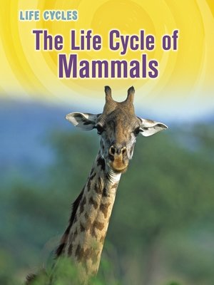 cover image of The Life Cycle of Mammals